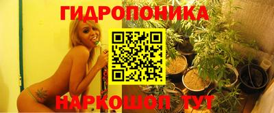 стафф Северобайкальск