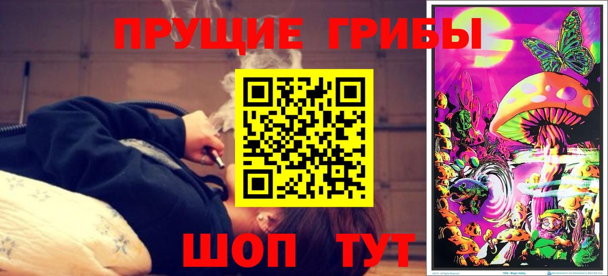 Ачхой-Мартан  Псилоцибиновые грибы мухоморы  Вход с VPN  Галлюциногенные грибы мухоморы 